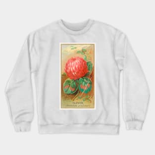 Clover (Trifolium pratense) Crewneck Sweatshirt